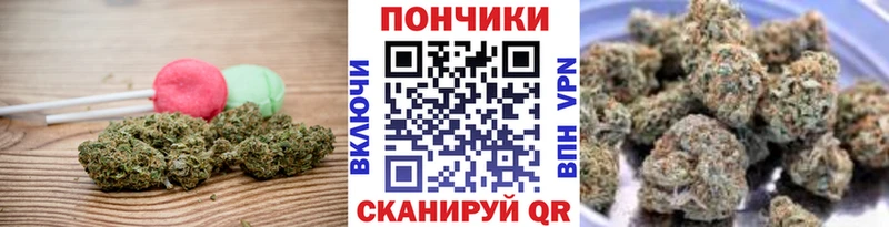дарнет шоп  Кудрово  hydra онион  Cannafood конопля 