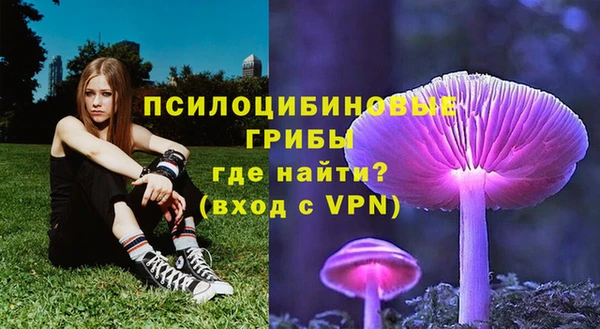 индика Володарск