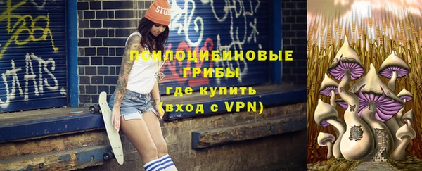 дмт Бронницы