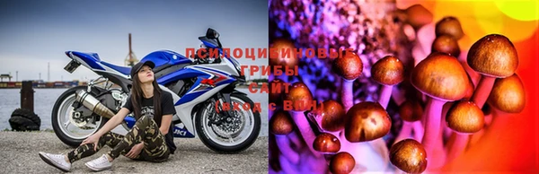 кокс Нефтекумск