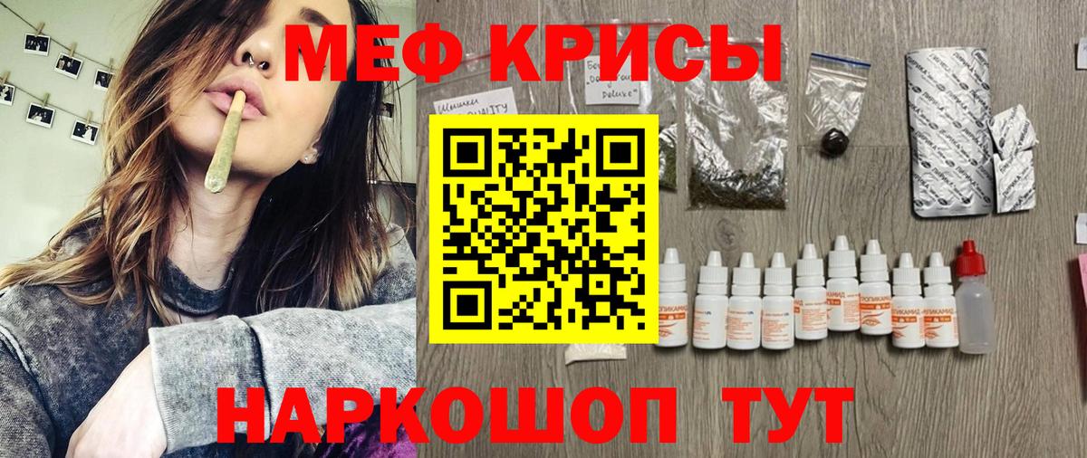 Кудрово  omg как зайти  Вход с VPN  МЯУ-МЯУ мяу мяу 