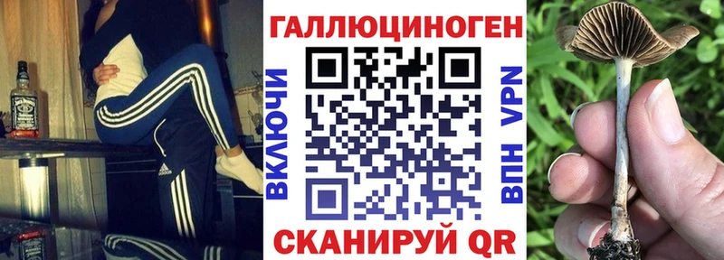 omg tor  купить наркоту  Кудрово  Галлюциногенные грибы прущие грибы 