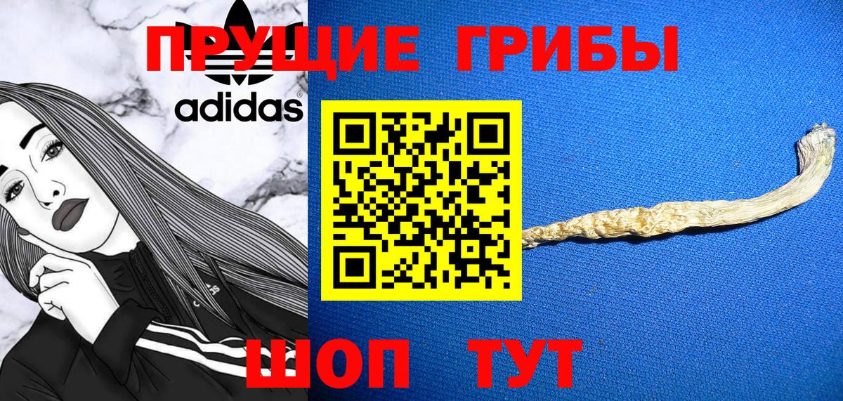 Псилоцибиновые грибы GOLDEN TEACHER  Кудрово 
