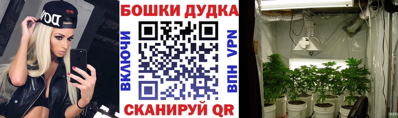 мега ссылки  Кудрово  Канабис Ganja 
