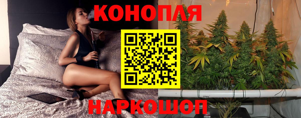 Каннабис план  Канабис конопля  Вход с VPN  Шишки марихуана марихуана  Кудрово 